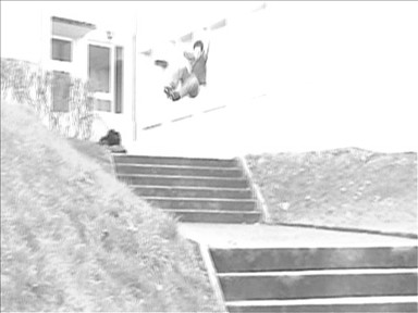 teddy 540